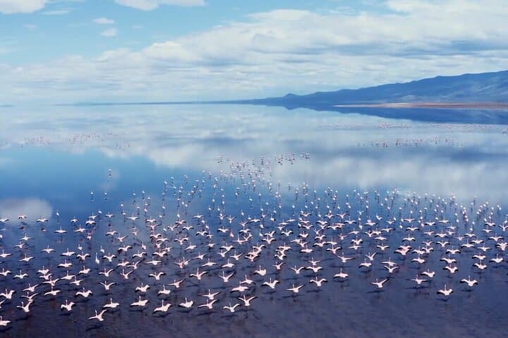 3-Day Flamingo Safari: Tarangire & Lake Natron from Arusha photo 3