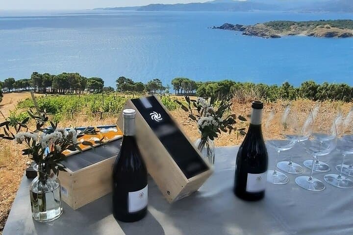 Empordà Wine Tour & Cap de Creus Coastal Views from Cadaqués photo 2