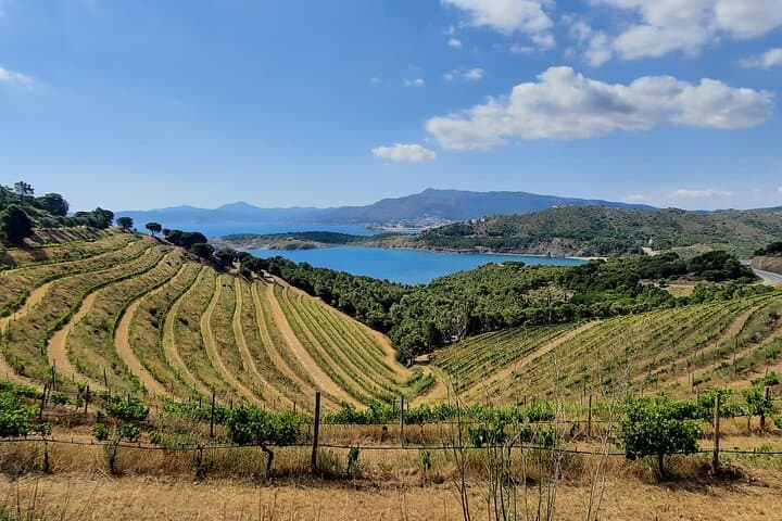 Empordà Wine Tour & Cap de Creus Coastal Views from Cadaqués