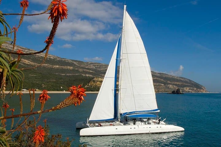 Setúbal Private Dolphin-Watching Tour from Lisbon photo 4