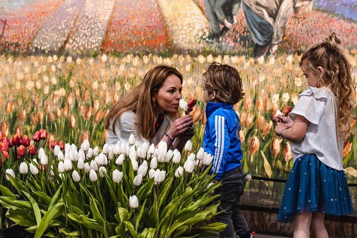Private Keukenhof Gardens & Tulip Fields Tour from Amsterdam