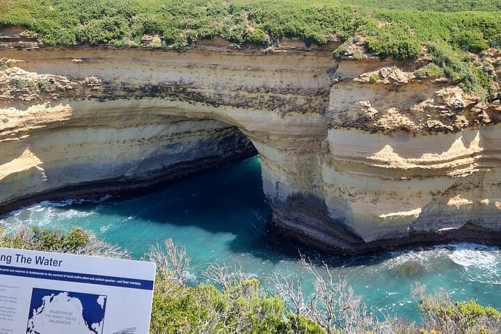 Private 12 Apostles Shore Excursion & Custom Melbourne Highlights Tour photo 6