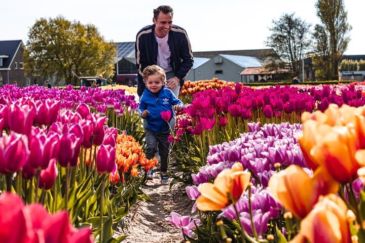 Keukenhof Gardens & Tulip Experience: Day Trip from Amsterdam