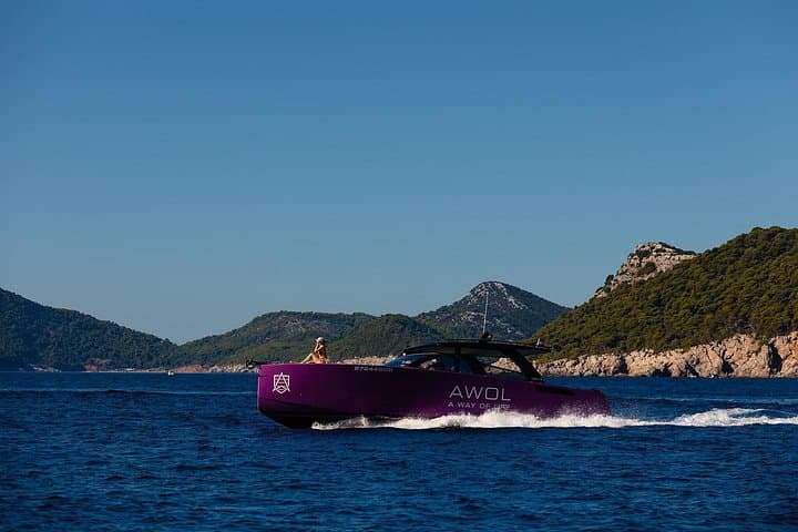 Private Luxury Yacht Tour from Dubrovnik — Elaphite Islands & Blue Cave photo 3