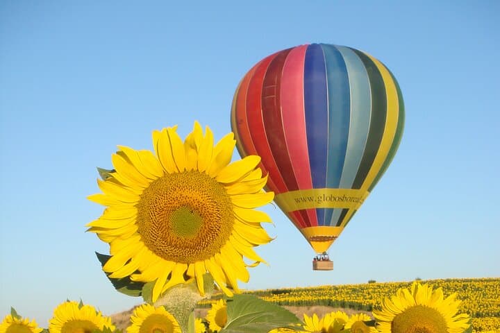 Sunrise Hot-Air Balloon Rides Over Segovia — Optional Transfer from Madrid photo 4