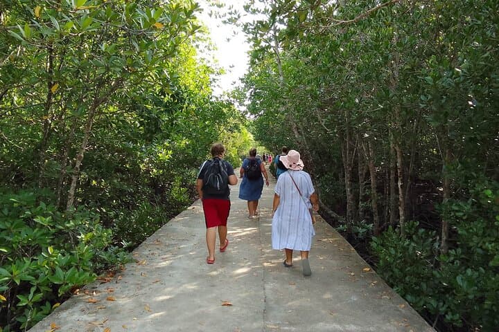 Half-Day Mangrove & Lanta Old Town Tour — Kayak the Mangroves and Explore Ko Lanta’s Old Pier photo 3