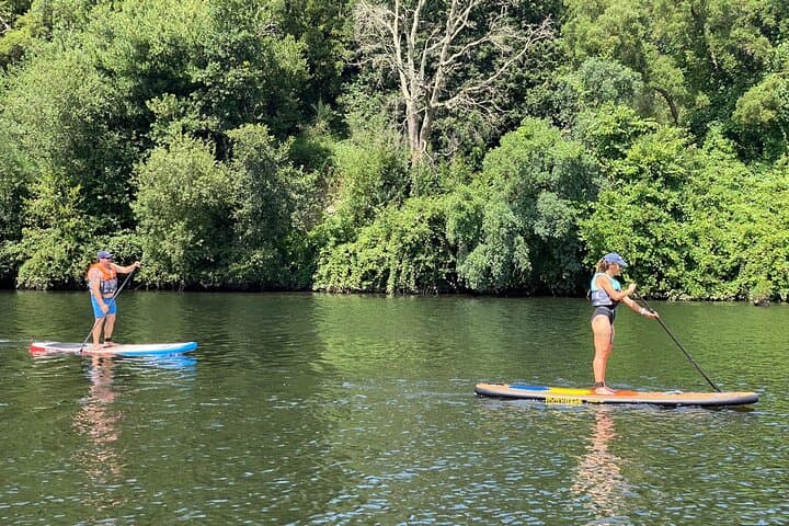 Paddle the Lima: Stand-Up Paddle Tour in Peneda-Gerês National Park