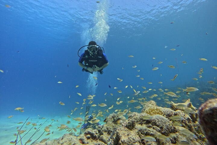 Private Two-Tank Scuba in San Andrés — 4-Hour Guided Dive Experience photo 5