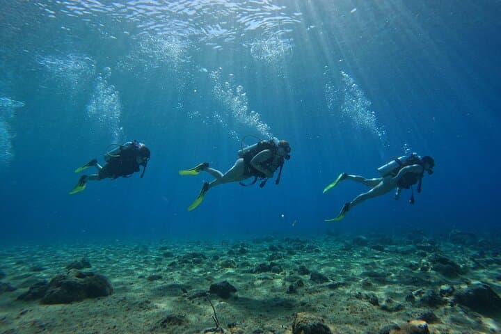 Private Two-Tank Scuba in San Andrés — 4-Hour Guided Dive Experience photo 6