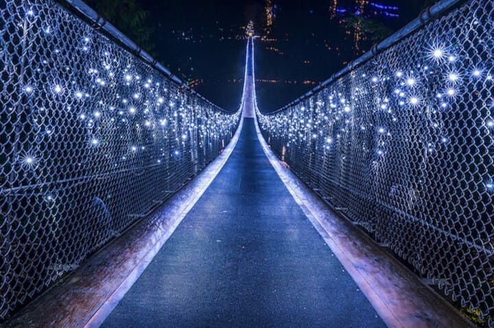 Vancouver Night Tour: Capilano Suspension Bridge & Grouse Mountain Dinner