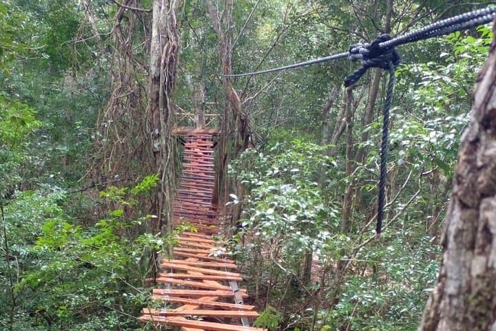 Cancún Jungle ATVs, Zip Lines & Real Cenote Swim — Shared Adventure photo 5