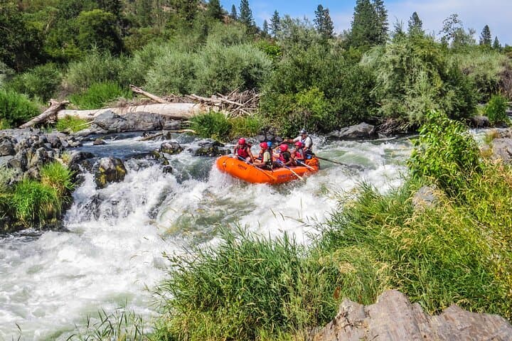 Charge the Rogue: Half-Day Class IV Rafting through Nugget and Ti’lomikh Falls