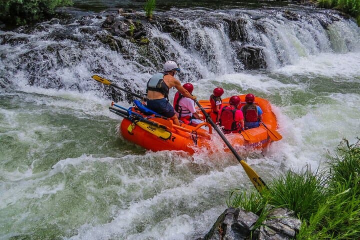 Charge the Rogue: Half-Day Class IV Rafting through Nugget and Ti’lomikh Falls photo 5