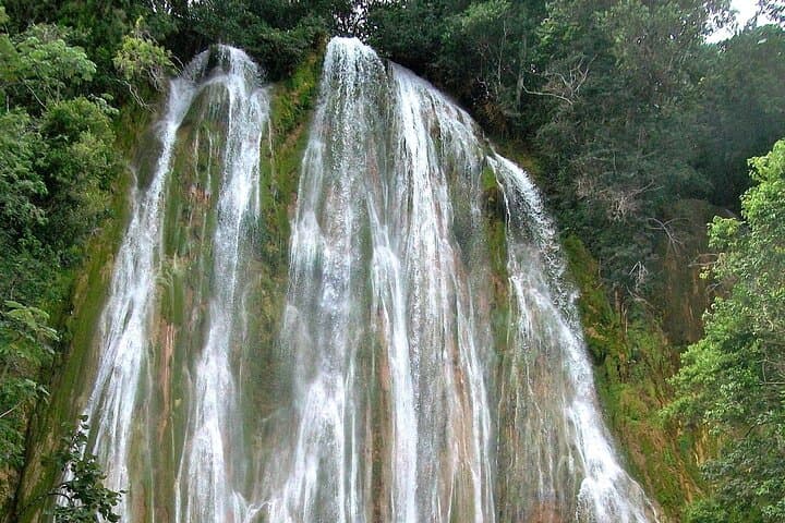 Samaná Bay Whale Watching & El Limón Waterfall Day Trip photo 5