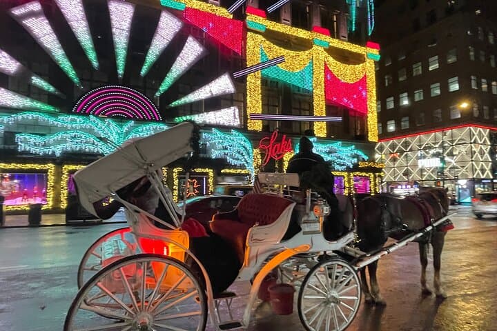 Central Park Christmas Lights Private Horse Carriage Ride — NYC Holiday Tour photo 3