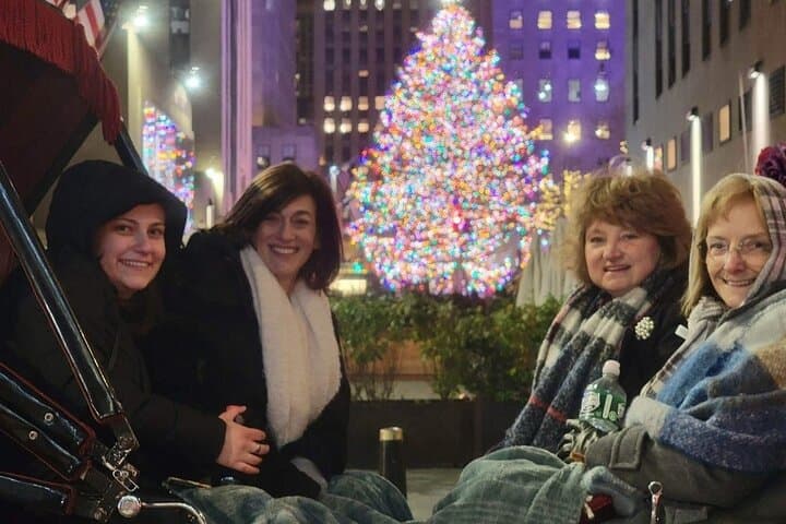Central Park Christmas Lights Private Horse Carriage Ride — NYC Holiday Tour photo 2