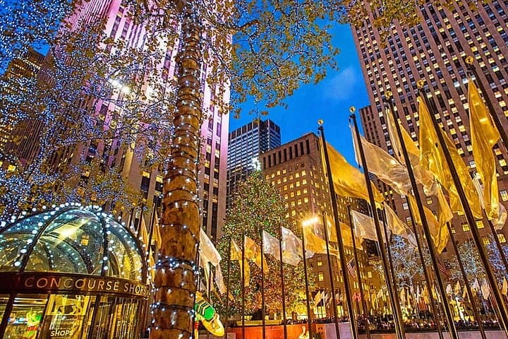 Central Park & Rockefeller Center Private Horse Carriage Tour — Private NYC Horse Carriage Experience photo 5