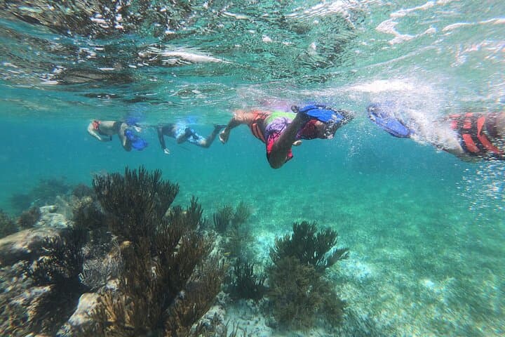 Super Combo Adventure in Puerto Morelos: ATVs, Zipline, Snorkel & Cenote Guide photo 2