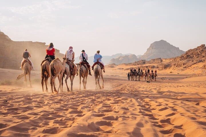 Full Day Private Tour: Petra, Wadi Rum & Shobak Castle — From Amman in One Epic Day photo 3