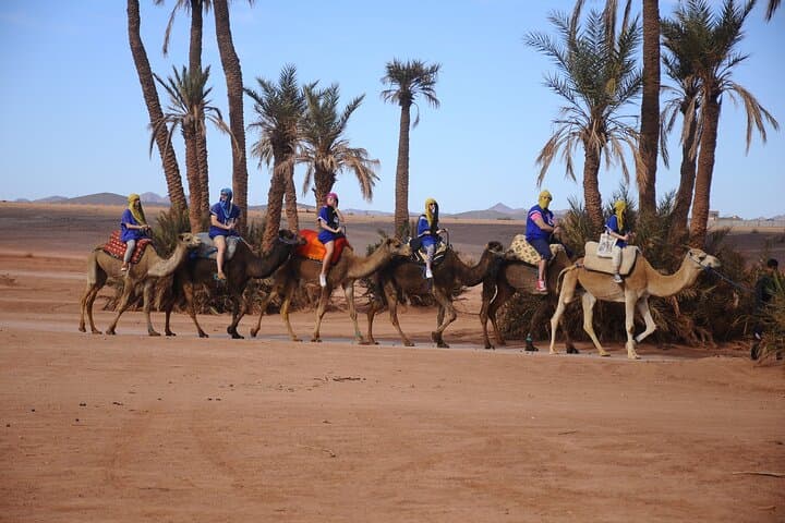 Marrakech Palmeraie Quad & Camel Ride — 2-Hour ATV Adventure with Transfer photo 3