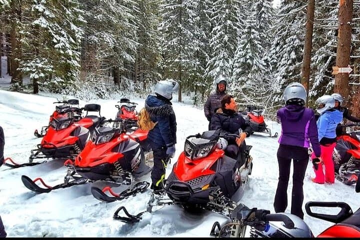 Snowmobile Rides in the Carpathians: Azuga Day Trip from Bucharest photo 2