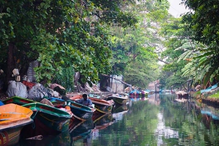 Negombo Lagoon & Muthurajawela Bird Watching Boat Tour — Mangrove Wildlife Boat Trip Near Colombo photo 5