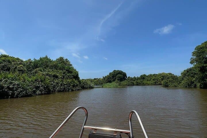 Negombo Lagoon & Muthurajawela Bird Watching Boat Tour — Mangrove Wildlife Boat Trip Near Colombo
