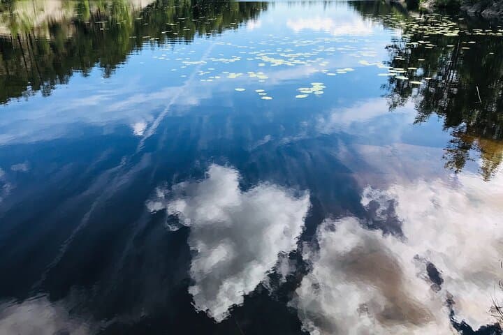 Forest Bathing and Healing Spring Water Near Stockholm photo 6