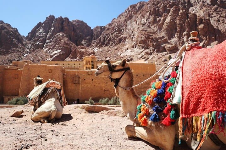Mount Sinai Sunrise Hike and St Catherine's Monastery Full-Day Tour photo 3