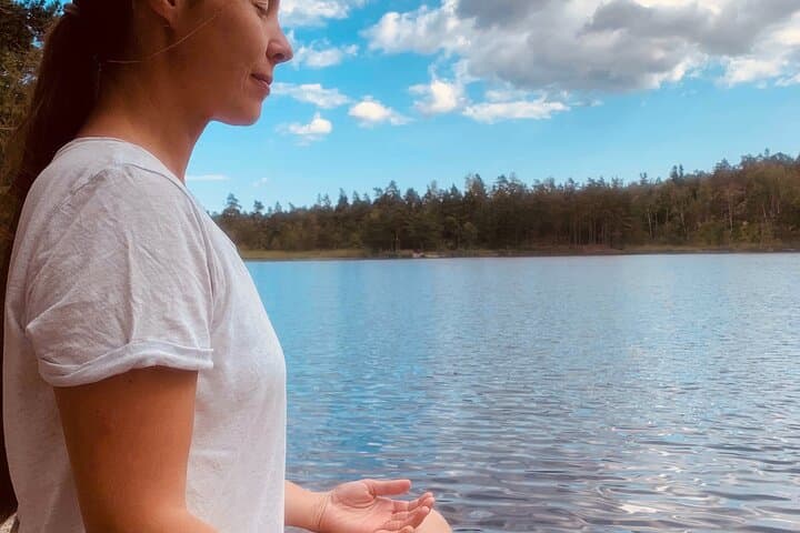 Forest Bathing and Healing Spring Water Near Stockholm photo 2