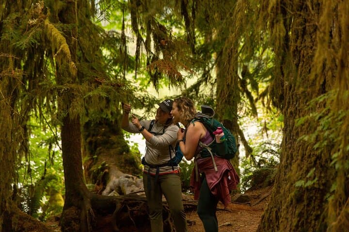 Full-Day Olympic National Park Small-Group Hike: Hoh Rainforest, Rialto Beach & Sol Duc photo 5