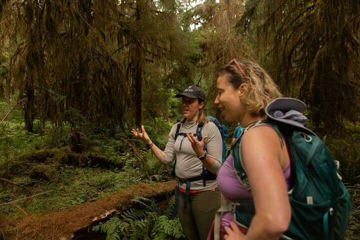 Full-Day Olympic National Park Small-Group Hike: Hoh Rainforest, Rialto Beach & Sol Duc photo 3