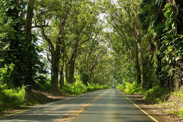 Private Kauai Highlights: Waimea Canyon, Kokee & Spouting Horn Day Tour photo 4