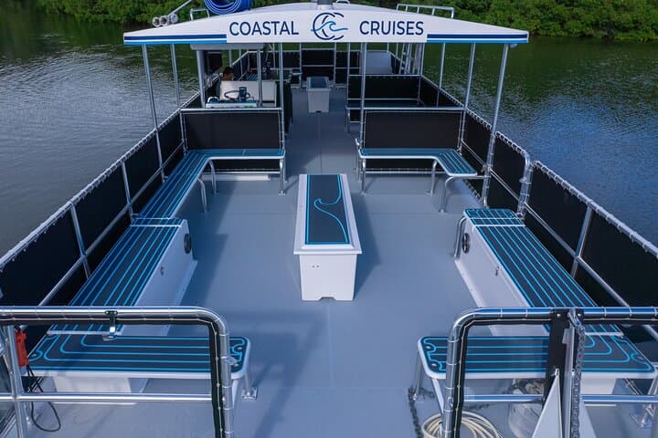 St. Pete Boooze Cruise: 2–3 Hour Party Catamaran with Dolphins photo 6