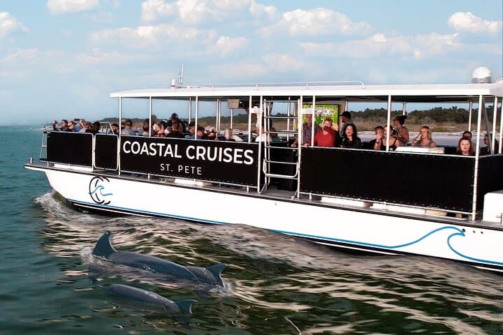 St. Pete Dolphin Watching and Shelling Adventure — 3-Hour Cruise to Shell Island