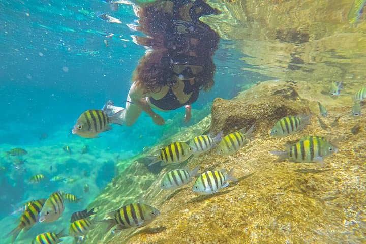 Yal-Ku Lagoon Cenote Snorkeling and Photos with Colorful Fish photo 2