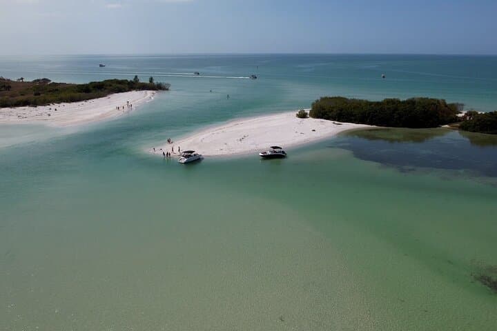 St. Pete Dolphin Watching and Shelling Adventure — 3-Hour Cruise to Shell Island photo 3