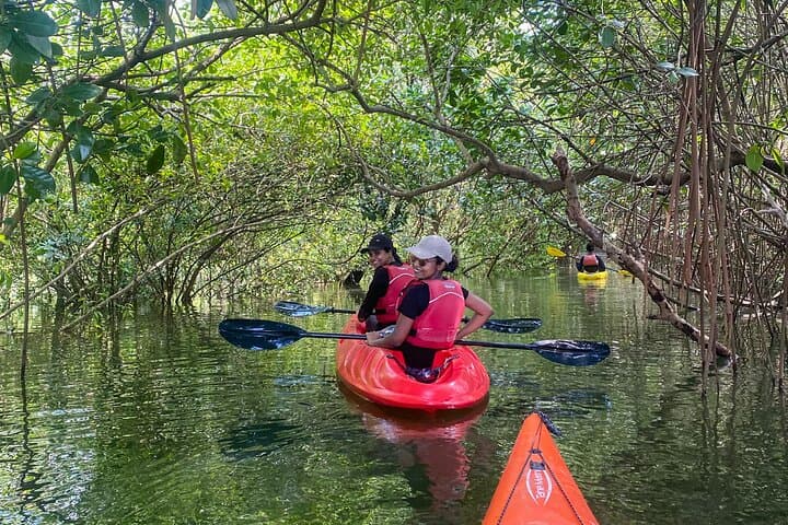 Kayaking Paravur Backwaters: Mangrove Forest Paddle from Varkala to Kollam photo 3