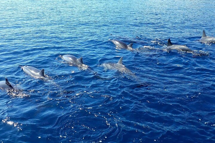 Tahiti Lagoon Jet Ski Tour — 1-Hour Guided Ride from the InterContinental photo 4