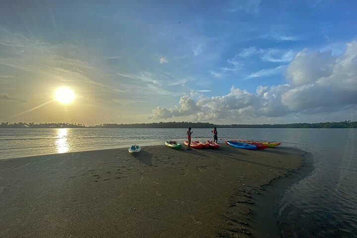 Kayaking Paravur Backwaters: Mangrove Forest Paddle from Varkala to Kollam photo 4