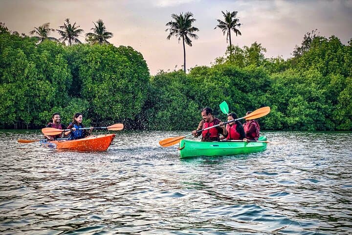 Kayaking Paravur Backwaters: Mangrove Forest Paddle from Varkala to Kollam photo 5