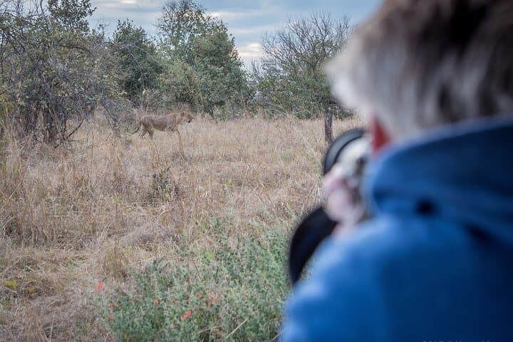 Chobe Day Trip: Kasane Safari & Chobe River Cruise photo 4