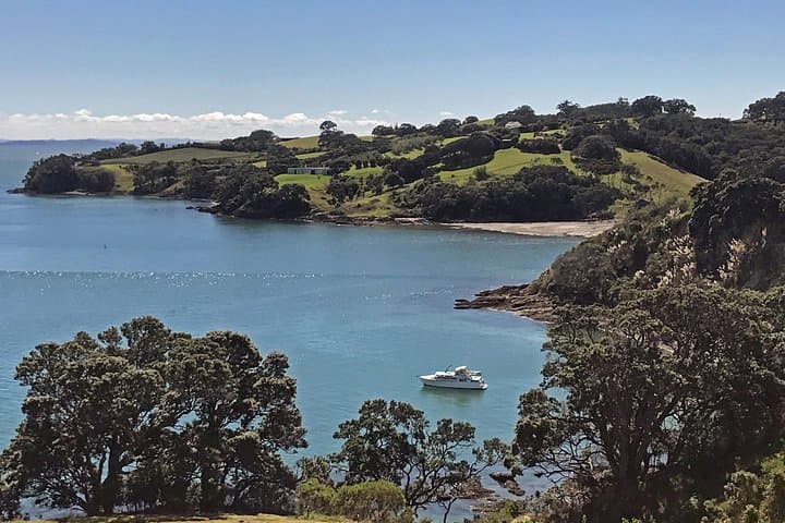 Private Personalised Waiheke Island Tour: Wine, Bush Walks & Local Art photo 1