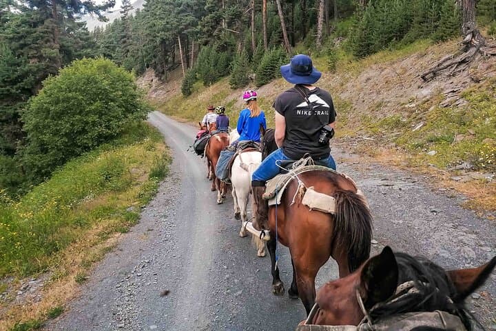 4-Day Horseback Adventure in Tusheti: Ridges, Remote Villages & High Passes photo 6