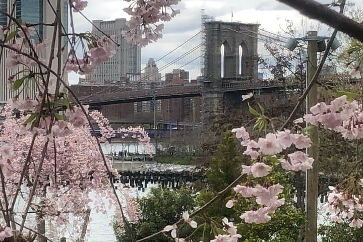 Sunset Brooklyn Bridge Walking Tour: Manhattan to DUMBO Waterfront photo 3