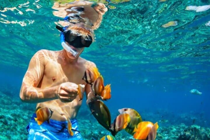 PADI Scuba Diver Intro in Sharm el-Sheikh: Red Sea Day Dive Experience photo 3