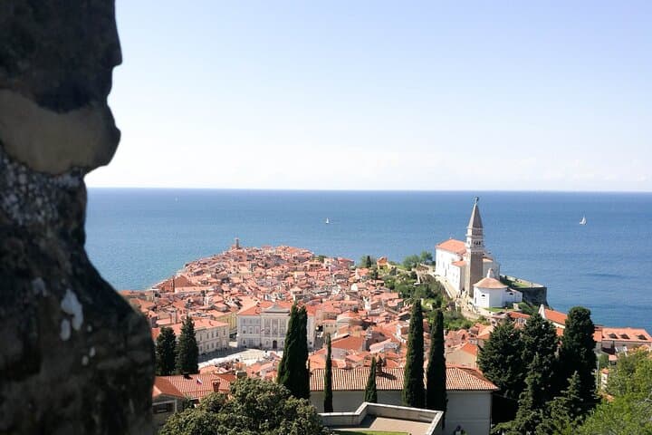 Custom Slovenian Coastal & Cave Adventure from Koper or Piran photo 6
