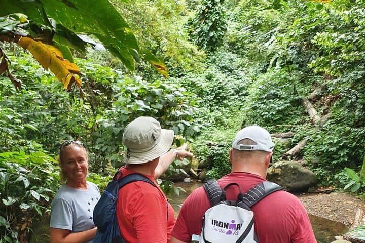 Private Guided Grenada Island Tour By the Hour — Flexible St. George's Excursions photo 5