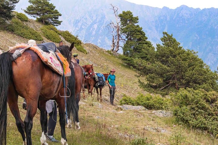 5-Day Horseback Journey Through Tusheti: Atsunta Pass to Shatili photo 2