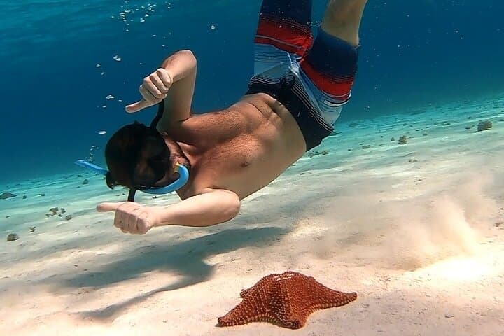 Cozumel Snorkel Tour: Starfish, Stingrays and Turtle Sanctuary photo 4